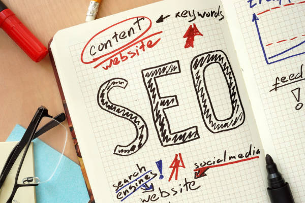 SEO para principiantes