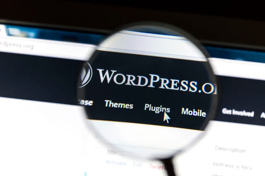 SEO para Wordpress
