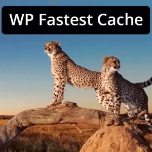 WP Fastest Cache
